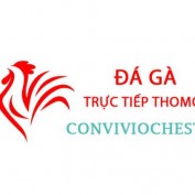 dagaconvivio profile image