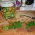 Place the tomatoes in a clean glass jar and chop the herbs Place the tomatoes in a clean glass jar and chop the herbs