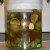 Pickles are now ready to be stored in a cool, dark place for 2 weeks Pickles are now ready to be stored in a cool, dark place for 2 weeks