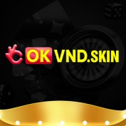 okvndskin profile image