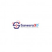 Sanesra3D profile image