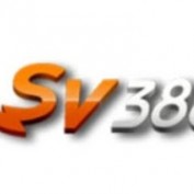 sv388stone profile image