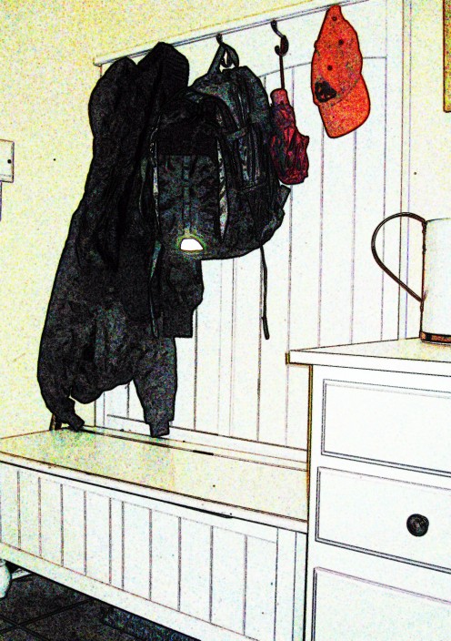 Boot box and hooks keep shoes and coats organized.