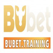 Bubettraining profile image