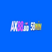 ax88bid profile image