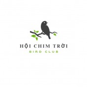 hoichimtroi profile image