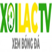 fondazi7 profile image