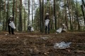 How the Community Can Get Involved With Wildlife Conservation