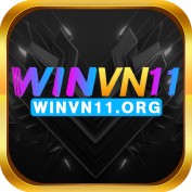 winvn11org profile image