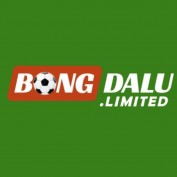 bongdalulimited profile image