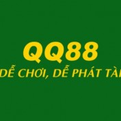 qq88cyou profile image