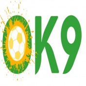 ok9clbcom profile image
