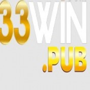 winpub133 profile image