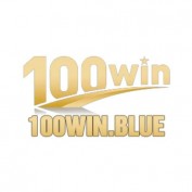 nc100winblue profile image