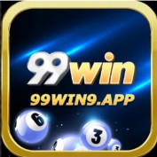 win9app99 profile image