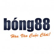 bong88louboutinsshoes profile image