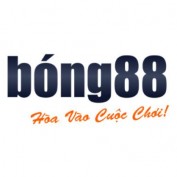 bong88outletbirkenstock profile image