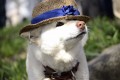 The Scent of Rust-A Mina and Taro Detective Story Case #1