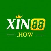 xin88how profile image