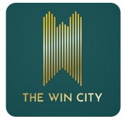 thewincitydj profile image