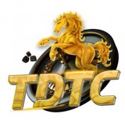 tdtcnhljersey profile image