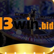 bid13win profile image