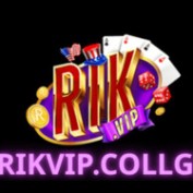 rikvipcollege profile image