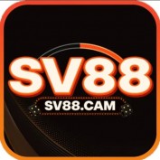 SV88cam profile image