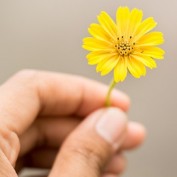 Ismat Akhoond profile image