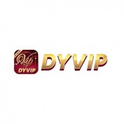 dyvipnetbr profile image