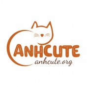 anhcuteorg profile image