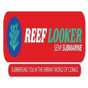 reeflooker profile image reeflooker profile image