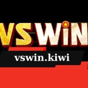 vswinkiwi profile image