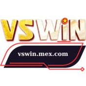 vswinmexcom profile image