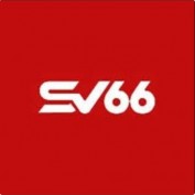 sv66itcom1 profile image