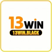 a13winblack profile image