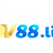 dv88live profile image