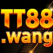tt88wang profile image
