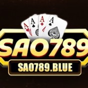 sao789blue profile image