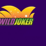 wildjokerlogin profile image
