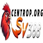 sv388centrop profile image