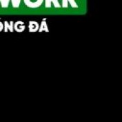 xoilaczwork profile image