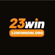 winnow231 profile image