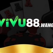vivu88wang profile image