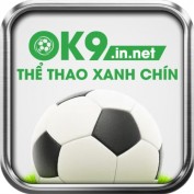 ok9innet profile image