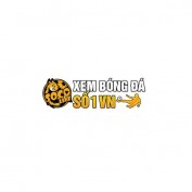 socolive2today profile image