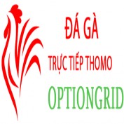 dagaoption profile image