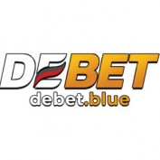 debetbluevn profile image
