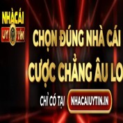 reviewnhacaiuytinin profile image
