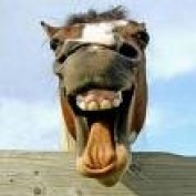 warwickcleaners profile image